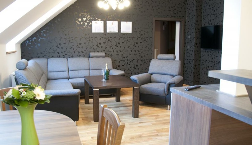 BECHERPLATZ Karlovy Vary - Apartmán 2+2